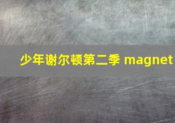 少年谢尔顿第二季 magnet